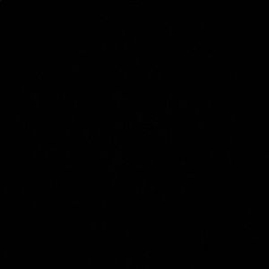 Meet your Posher, Jose